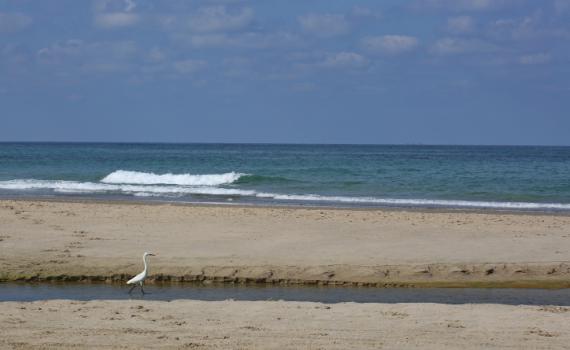 טביעה בחוף מעגן מיכאל: נער בן 15 הובהל לביה"ח