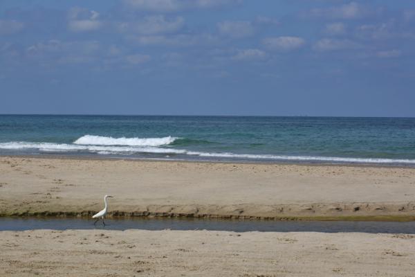 טביעה בחוף מעגן מיכאל: נער בן 15 הובהל לביה"ח