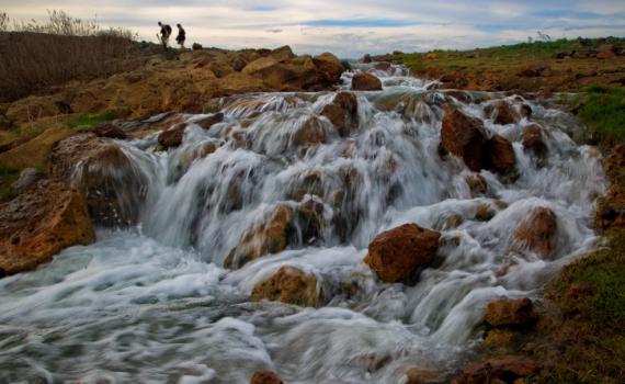 יוצאים לטייל? מעיינות הגולן שכדאי לבקר בהם