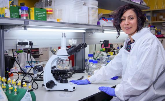 המכון הביולוגי: חיסון הקורונה יהיה מוכן עד הקיץ