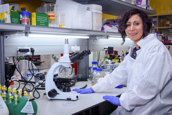 המכון הביולוגי: חיסון הקורונה יהיה מוכן עד הקיץ