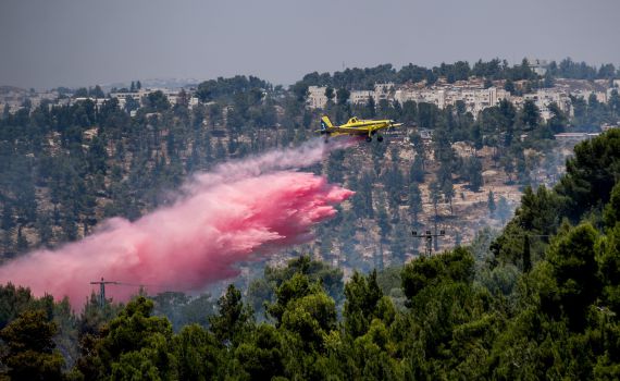 שלושה נעצרו בחשד להצתת השריפה בעין כרם