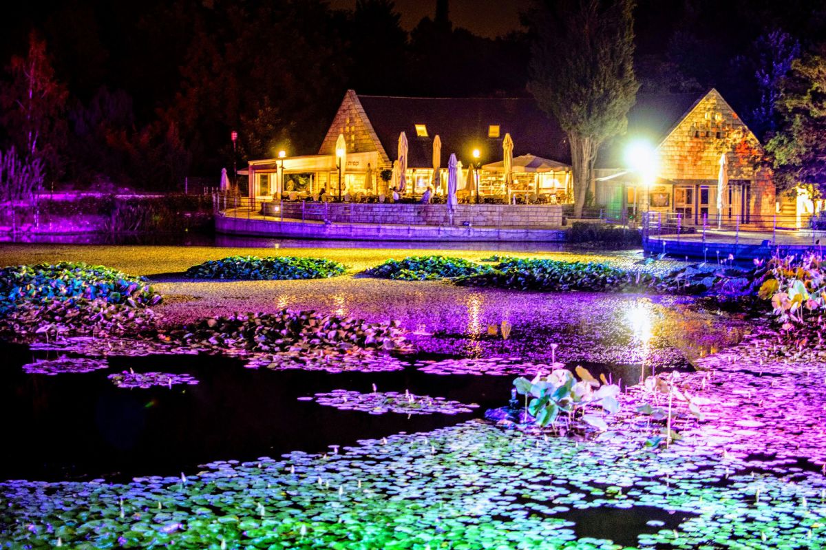 כמה חכינו לקיץ מהאגדות והכל על פי התו הסגול