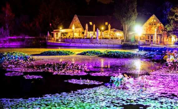 כמה חכינו לקיץ מהאגדות והכל על פי התו הסגול