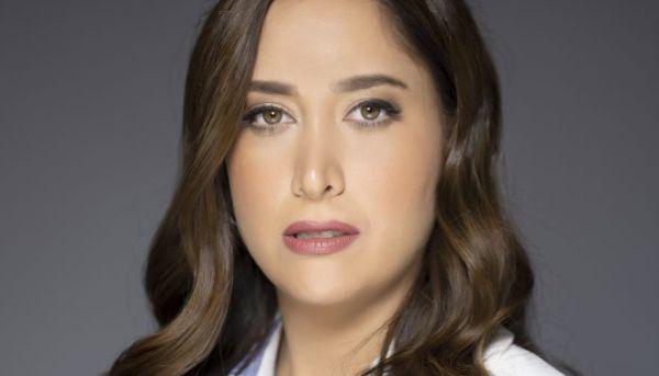 מאי גולן:מה עמדת היועמ"ש על עבירות הבנייה?