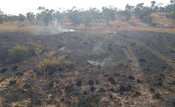 טרור הבלונים: אלפי דונמים של שמורת טבע נשרפו
