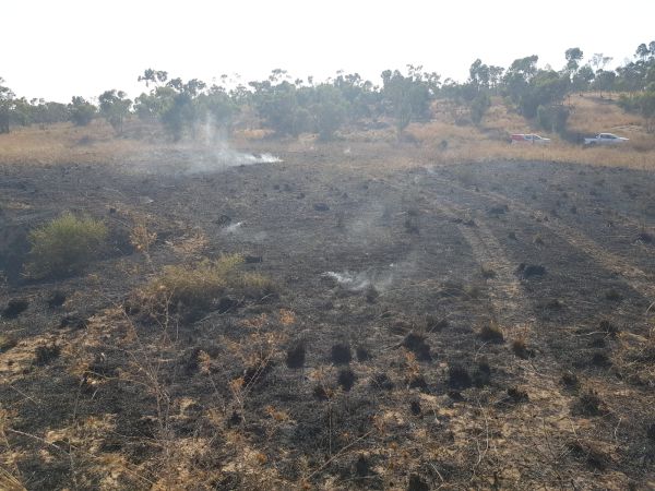 טרור הבלונים: אלפי דונמים של שמורת טבע נשרפו