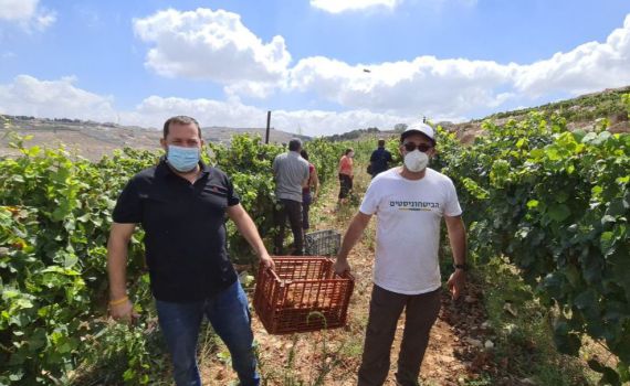 "הקורונה נקודתית, הריבונות לדורי דורות"