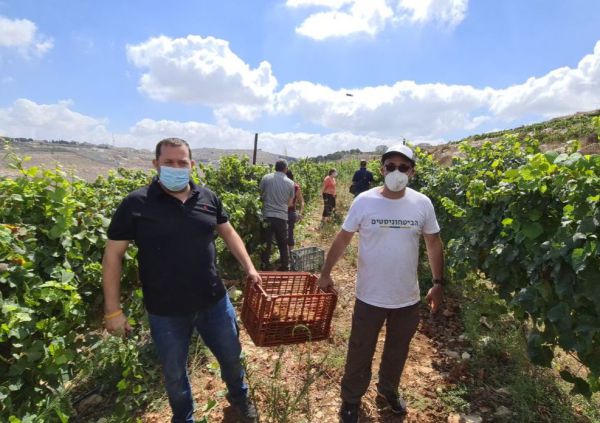 "הקורונה נקודתית, הריבונות לדורי דורות"