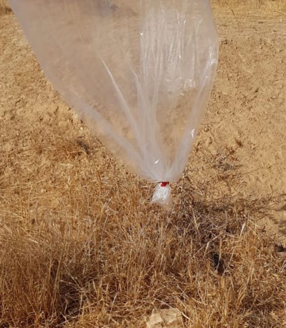 הטרור נמשך: בלון נפץ מעזה נחת בסמוך לנתיבות