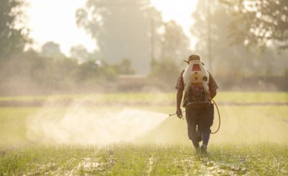כל כמה זמן צריך לעשות הדברה בבית