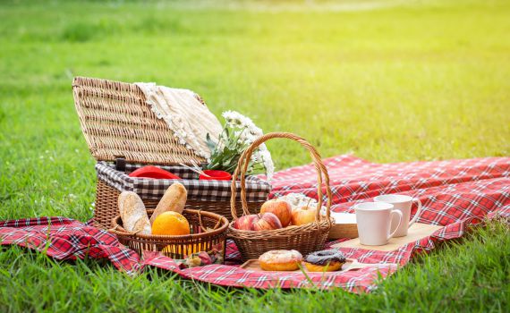 הבילוי המושלם לקורונה: 6 מתכונים טעימים לפיקניק