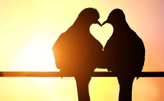 לא רק ט"ו באב: כל יום הוא יום לאהבה