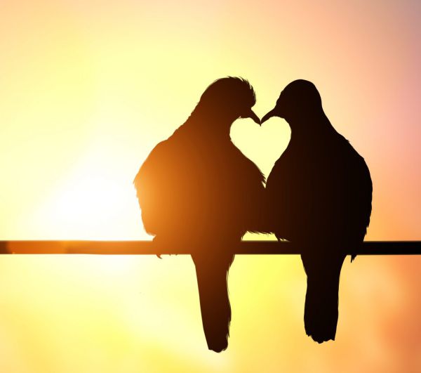 לא רק ט"ו באב: כל יום הוא יום לאהבה