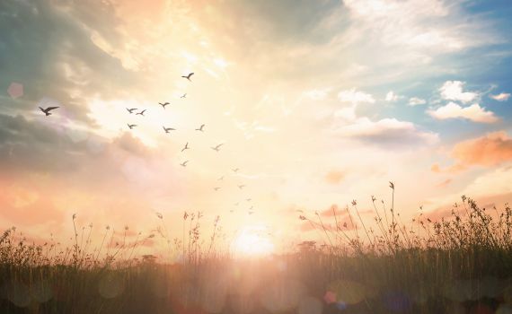 פנימיות בקטנה: איך לקבל קדושה גבוהה יותר?