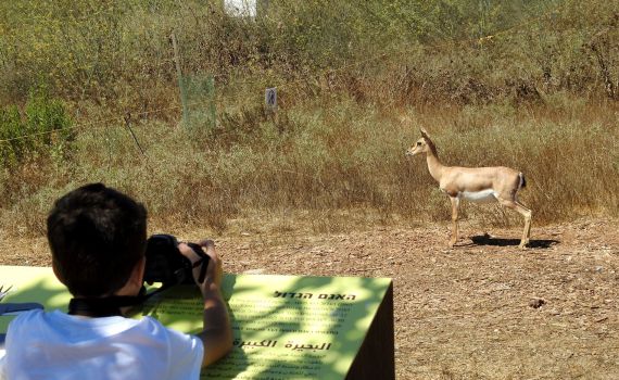 פארק עמק הצבאים בירושלים יהיה פתוח בסגר