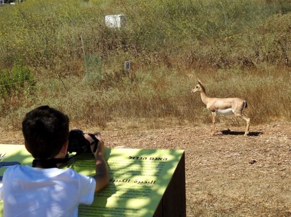 פארק עמק הצבאים בירושלים יהיה פתוח בסגר