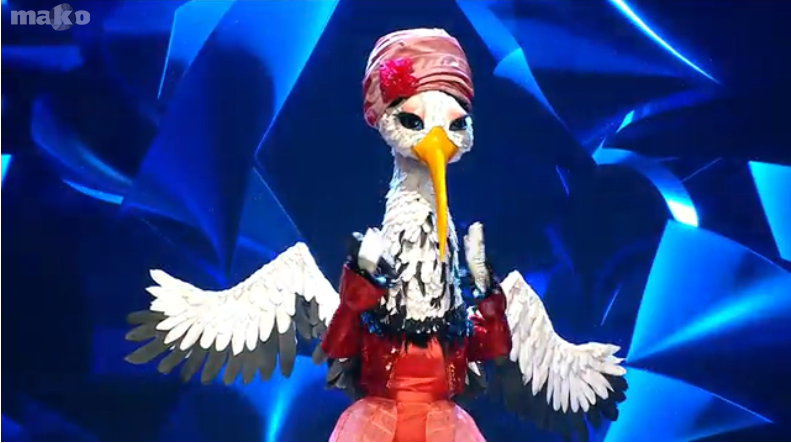 עם כיסוי ראש וישי ריבו: מי מסתתרת מתחת לחסידה?