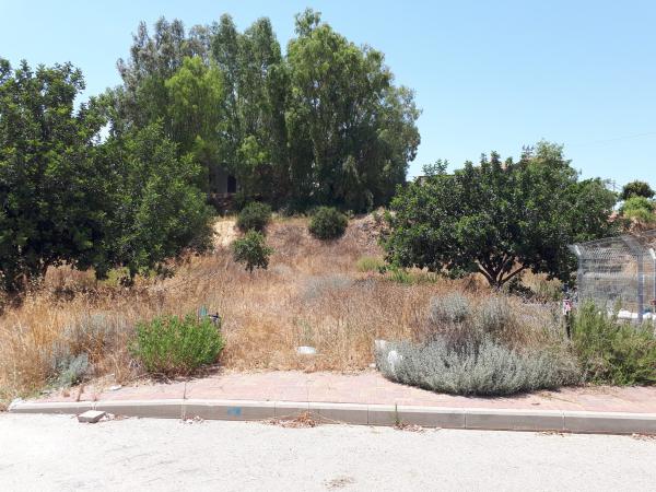 בשורה לתושבי כפר הרא"ה: משקמים את המחצבה