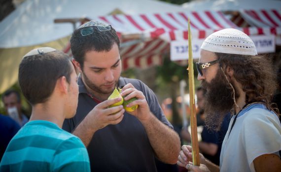 התנגדות חריפה לגמזו: אתה מבין משמעות של אתרוג?!