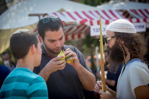 התנגדות חריפה לגמזו: אתה מבין משמעות של אתרוג?!