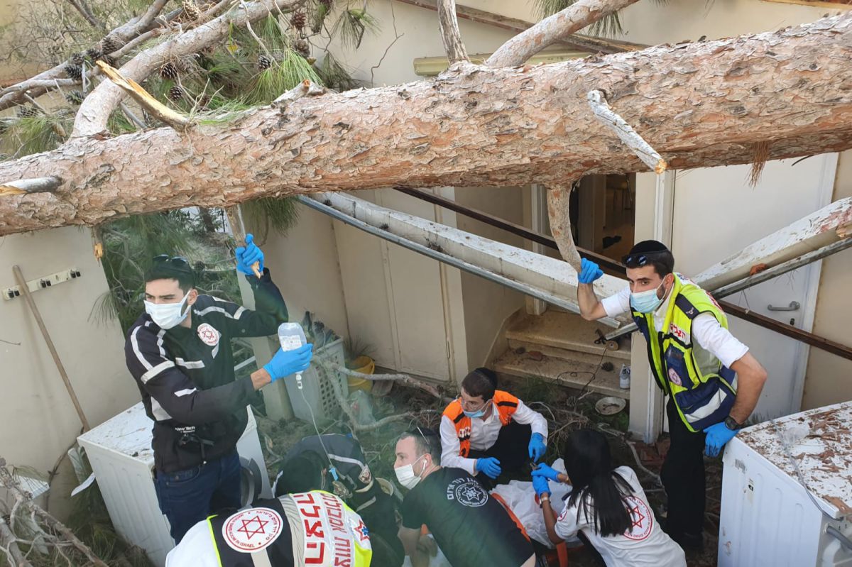 התפללו לרפואתה: עץ קרס; רגלה של הכלה נקטעה