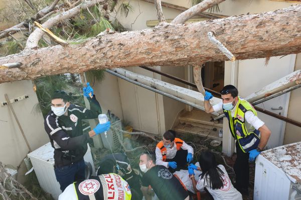 התפללו לרפואתה: עץ קרס; רגלה של הכלה נקטעה