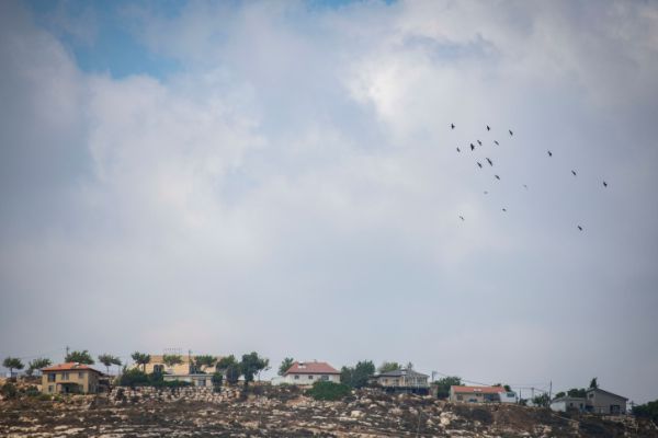פעוט נעקץ ע"י עקרב בבית בשומרון; מצבו קשה