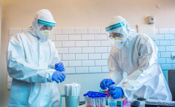 הנתונים נחשפים: אחוז הבדיקות החיוביות בכל מגזר