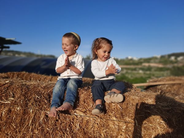 שנה לאחר הרצח: חוות 'נווה אורי' הוקמה לזכרה של אורי אנסבכר הי"ד