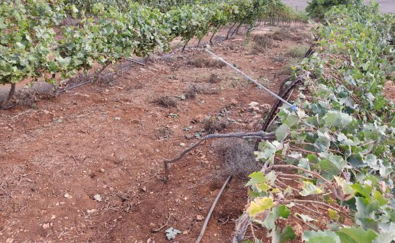 ערבים הציתו מספר מוקדים בגוש שילה במהלך השבת