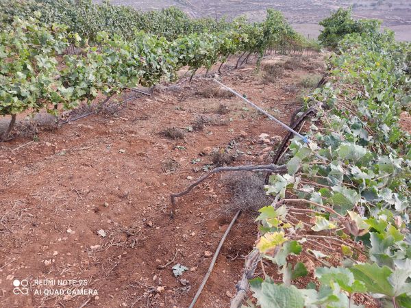 ערבים הציתו מספר מוקדים בגוש שילה במהלך השבת