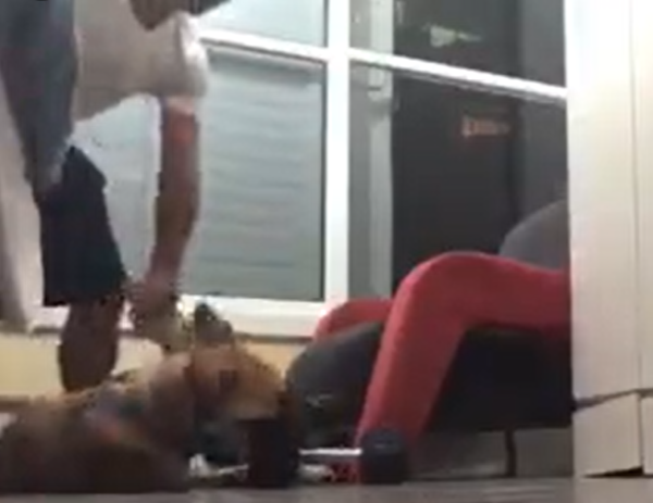 פרסם סרטונים של התעללות בכלבו, המונים הפגינו בחוץ