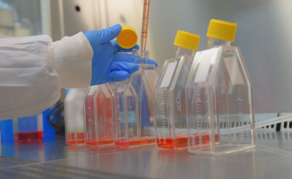 המירוץ לחיסון: מדינת ישראל בבשורה משמחת