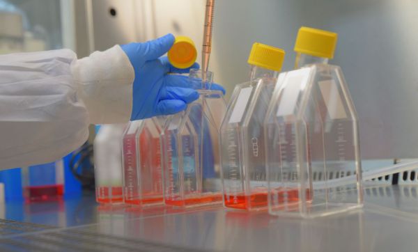 המירוץ לחיסון: מדינת ישראל בבשורה משמחת