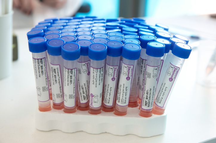 אחוז הבדיקות החיוביות: הנמוך בשבועיים האחרונים