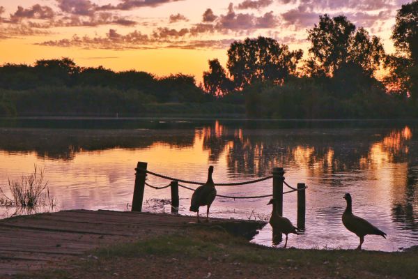 במקום גשם | עליה בטמפ' וחום כבד; תחזית מזג האוויר