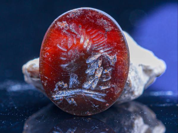 ד"ש מימי המקדש: ממצא נדיר התגלה בעיר דוד