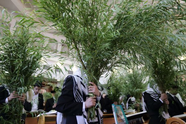 הדרך של עיריית ירושלים למכירת ערבות בזמן קורונה