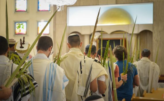 פנימיות בקטנה: איך לעורר שפע חסד בנענוע הלולב?