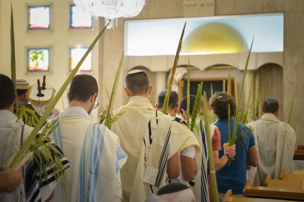פנימיות בקטנה: איך לעורר שפע חסד בנענוע הלולב?