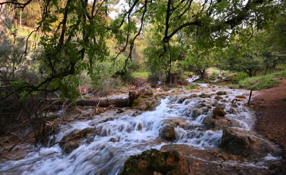 בואו לבדוק:באילו אתרי טבע אתם יכולים לבקר בסגר?