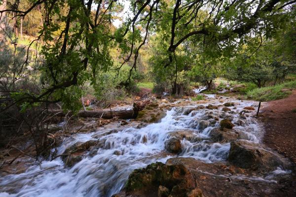 בואו לבדוק:באילו אתרי טבע אתם יכולים לבקר בסגר?
