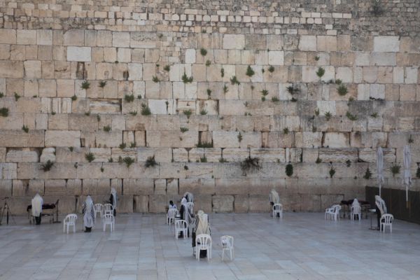 מהבית: הלל, תפילה ותיקון הושענא רבה בכותל הדרומי