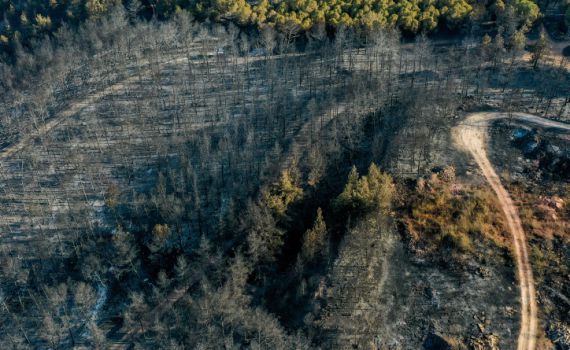 שריפת ענק בגליל: 4,000 דונם של חורש עלו באש
