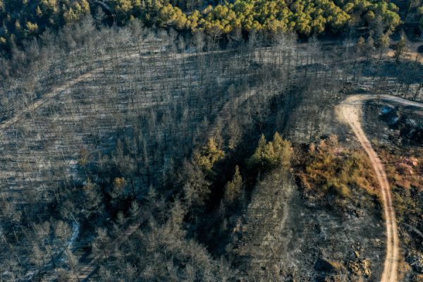 שריפת ענק בגליל: 4,000 דונם של חורש עלו באש