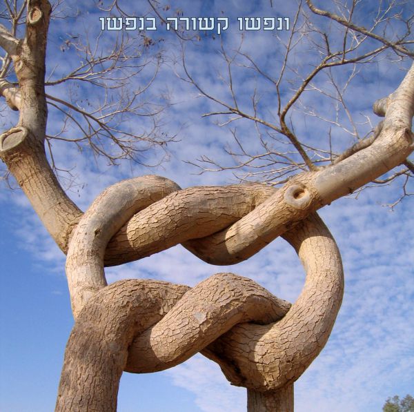 מרהיב: ספר 'בראשית' בתמונות מיוחדות