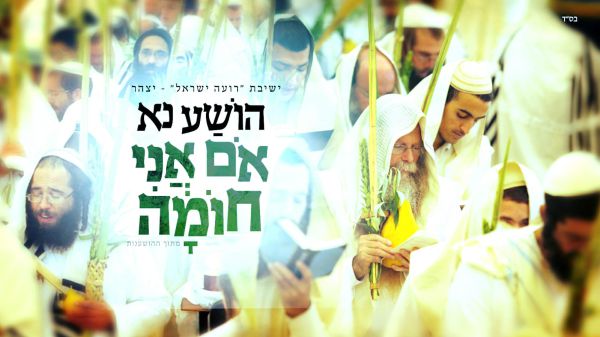 האזינו: ביצוע מחודש להושענא 'אם אני חומה'