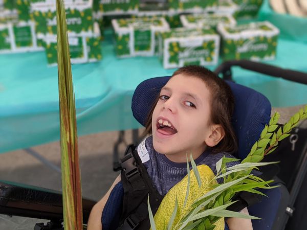 לאחר חודשים שלא יצאו- השתתפו בשוק 4 מינים