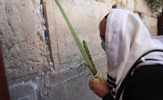 חג הסוכות – הזדמנות לגרש את הקורונה! צפו: